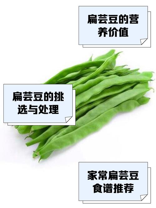 怀孕期间可以吃扁豆吗-第3张图片-郑州医学网