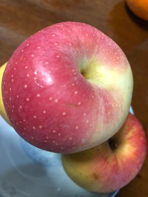 怀孕期间吃哪些水果好-第2张图片-郑州医学网