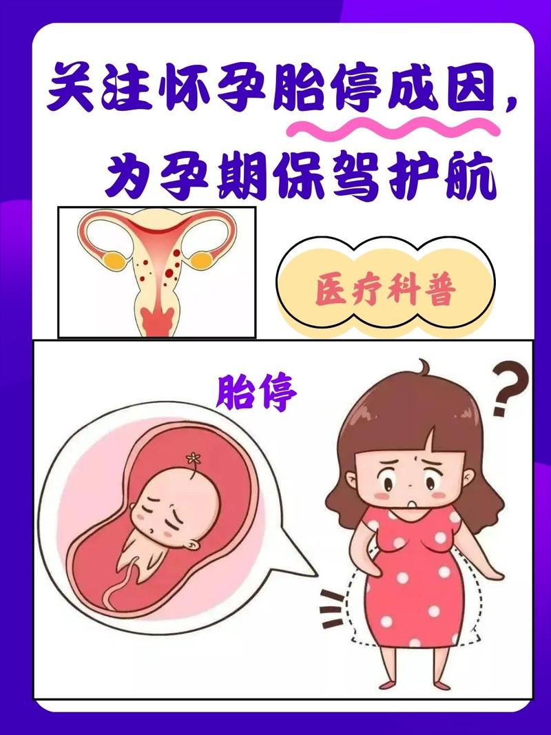 早孕期劳累会胎停育吗-第3张图片-郑州医学网