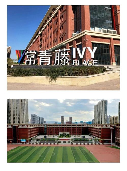 回龙观常青藤儿童学校的教学特色与家长口碑究竟如何？-第3张图片-郑州医学网