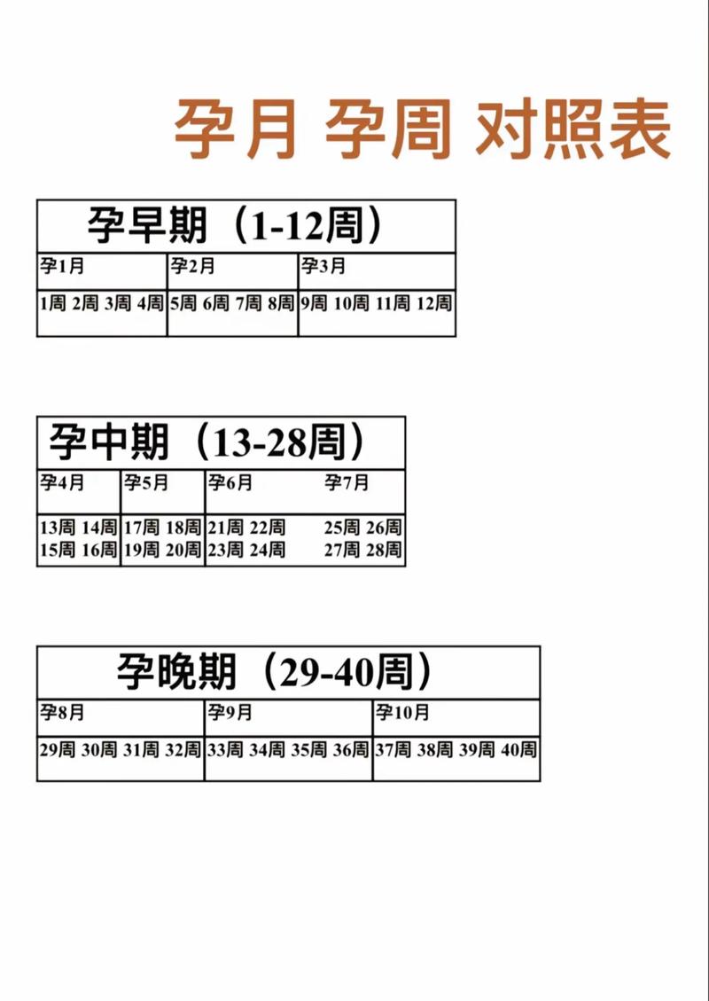 孕期哪几个月增重最明显？不同阶段体重增长有何规律？-第1张图片-郑州医学网