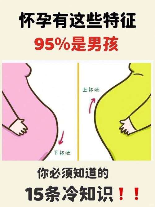 怀孕期间屁多是男孩吗-第1张图片-郑州医学网