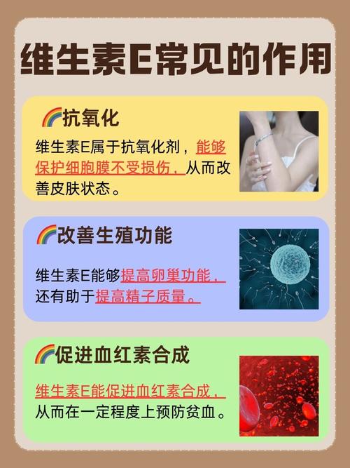 备孕期能吃维生素E吗？吃多少才安全？对怀孕有啥帮助？-第2张图片-郑州医学网