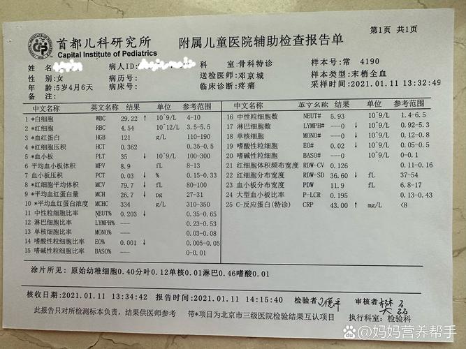 儿童验血究竟能筛查哪些疾病？家长需了解的关键检查项目与意义-第2张图片-郑州医学网