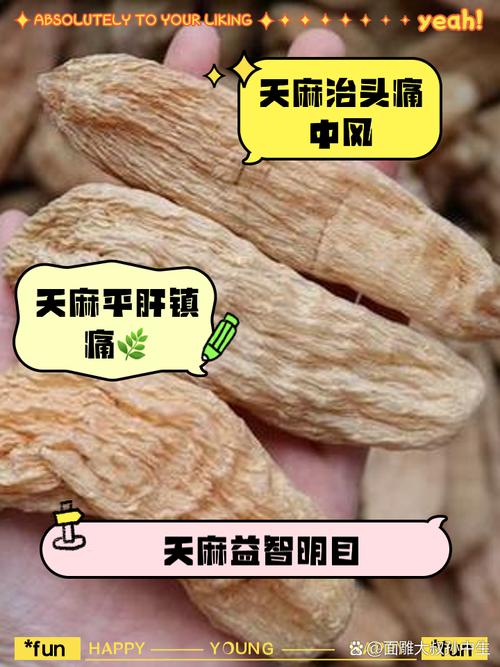 怀孕期间吃天麻安全吗？对胎儿发育会有潜在风险吗？-第1张图片-郑州医学网