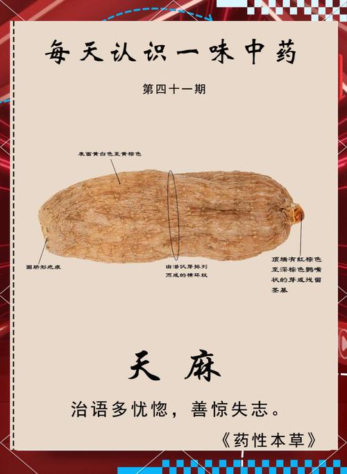 怀孕期间吃天麻安全吗？对胎儿发育会有潜在风险吗？-第2张图片-郑州医学网