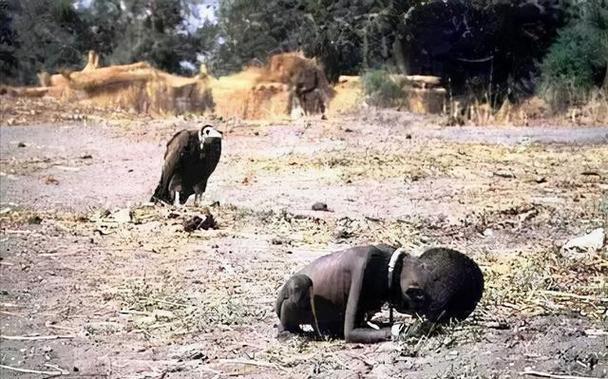 非洲饥饿儿童图片喂水-第3张图片-郑州医学网