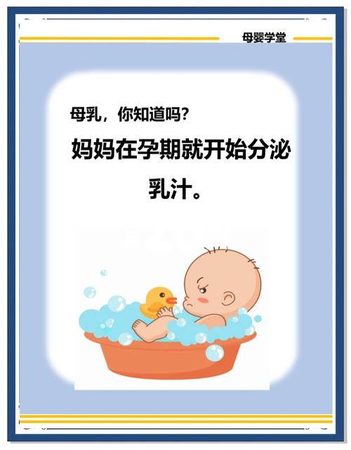 怀孕期间乳房可以吸吗-第2张图片-郑州医学网