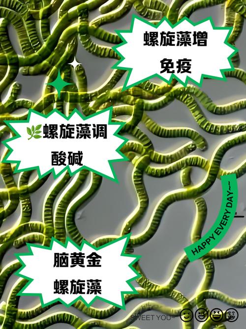 备孕期可以吃螺旋藻吗-第2张图片-郑州医学网