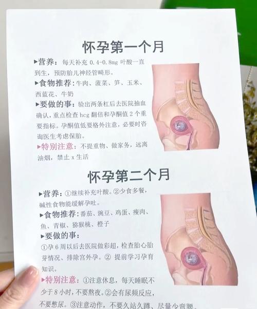孕期初期需要注意事项-第1张图片-郑州医学网