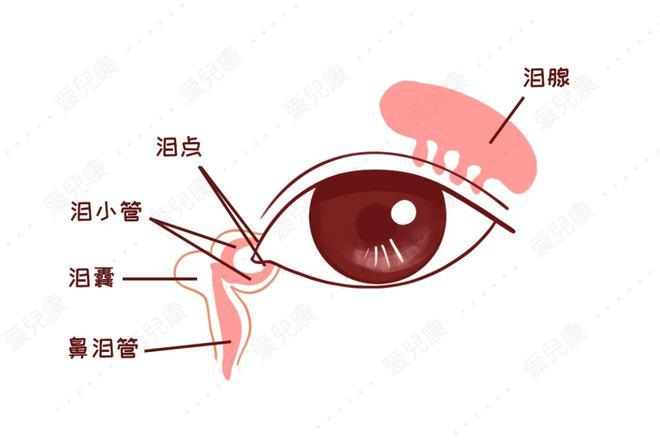 新生儿眼角红有分泌物-第3张图片-郑州医学网