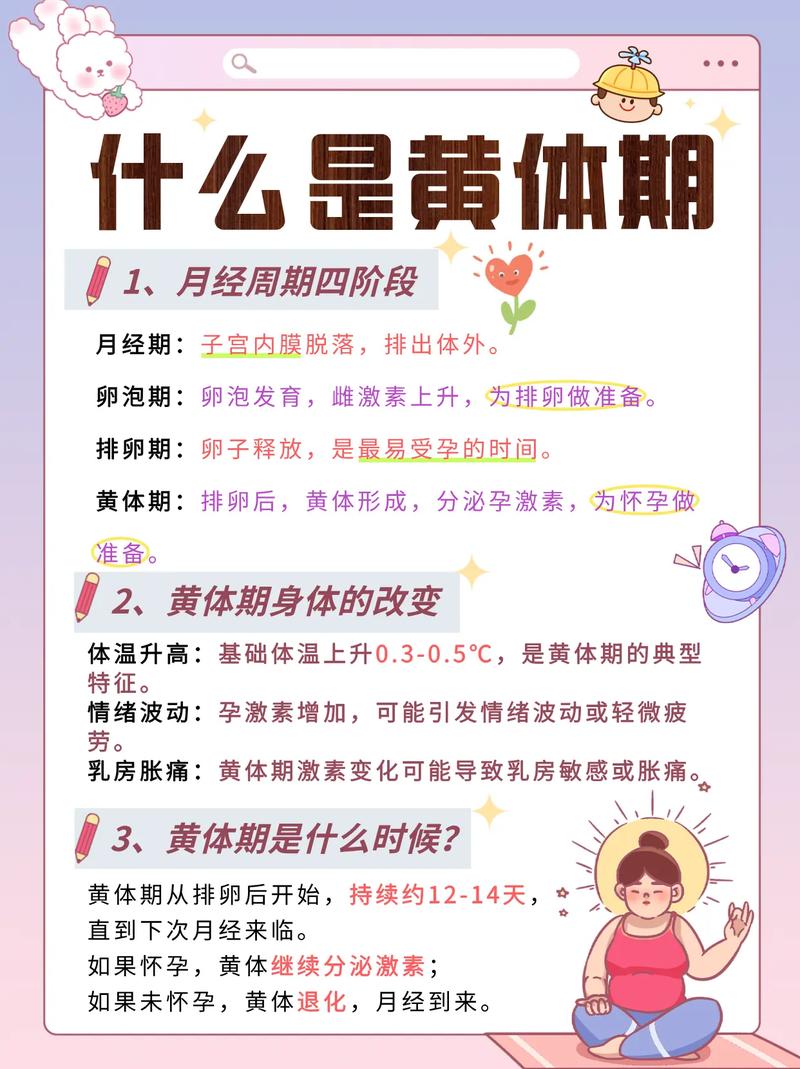 怀孕期间属于黄体期吗-第1张图片-郑州医学网