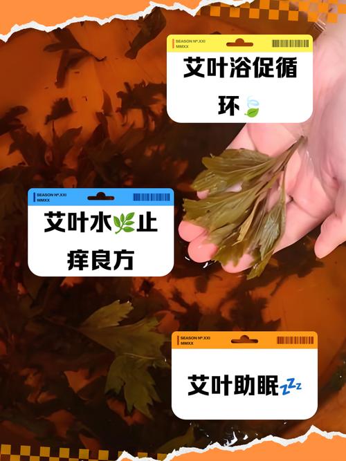 新生儿肚子痛喝艾叶水-第2张图片-郑州医学网