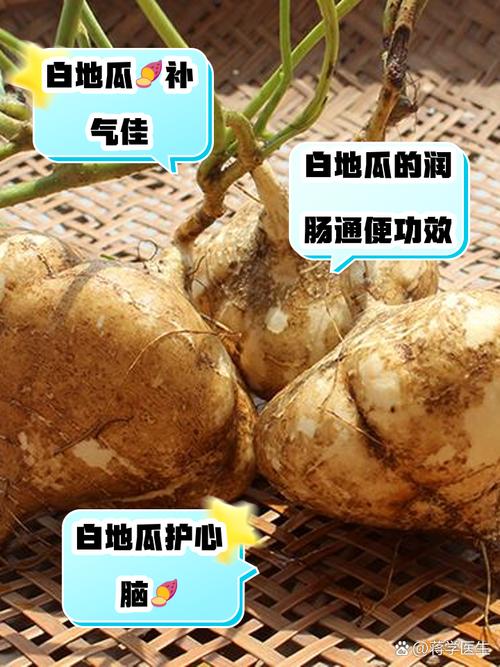 孕期血糖高能吃白薯吗-第1张图片-郑州医学网