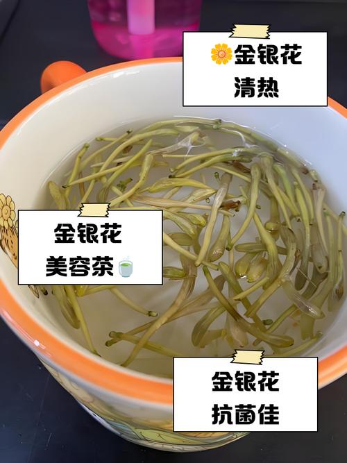 新生儿金银花泡水洗澡-第3张图片-郑州医学网