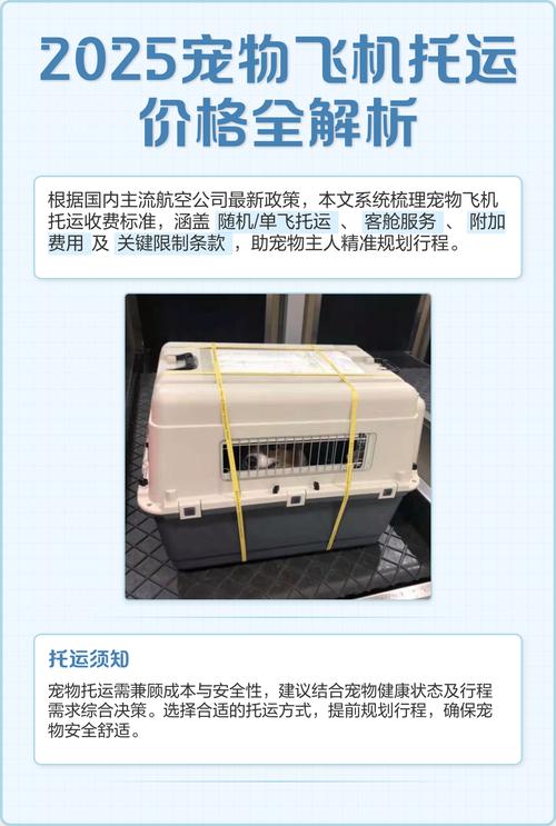 飞机托运儿童价格怎么算？不同航空公司收费标准差异大吗？-第1张图片-郑州医学网