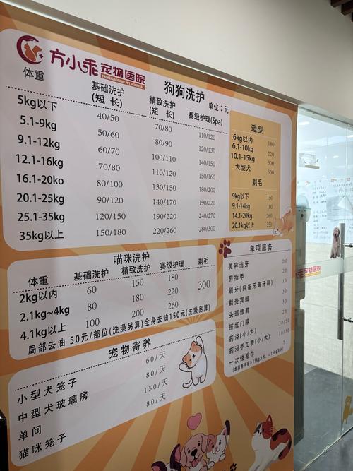 儿童免疫力五项检查费-第1张图片-郑州医学网