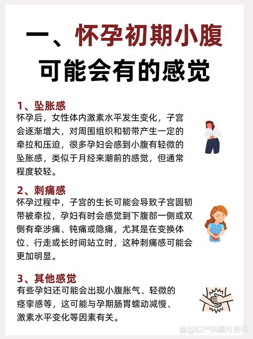 怀孕期间肚子感觉会变化吗？不同阶段有啥不一样？-第2张图片-郑州医学网
