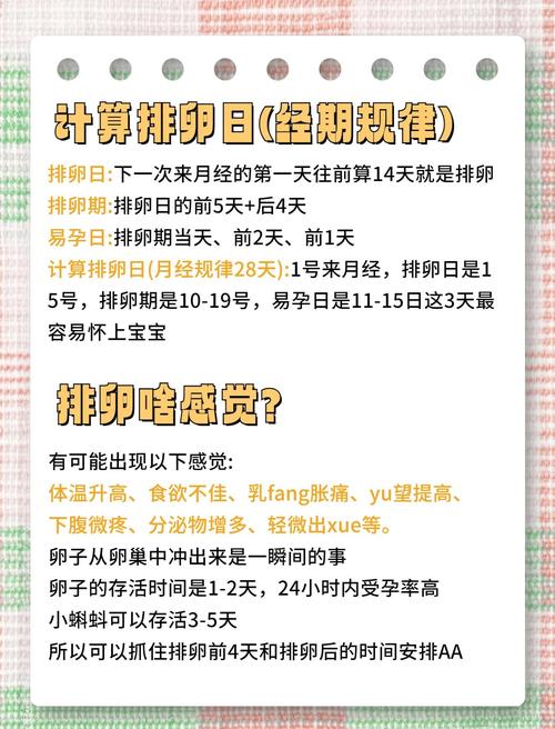 女生月经后几天最容易受孕?排卵期与月经周期的科学关联是什么?-第2张图片-郑州医学网 女生月经后几天最容易受孕?排卵期与月经周期的科学关联是什么?-第2张图片-郑州医学网