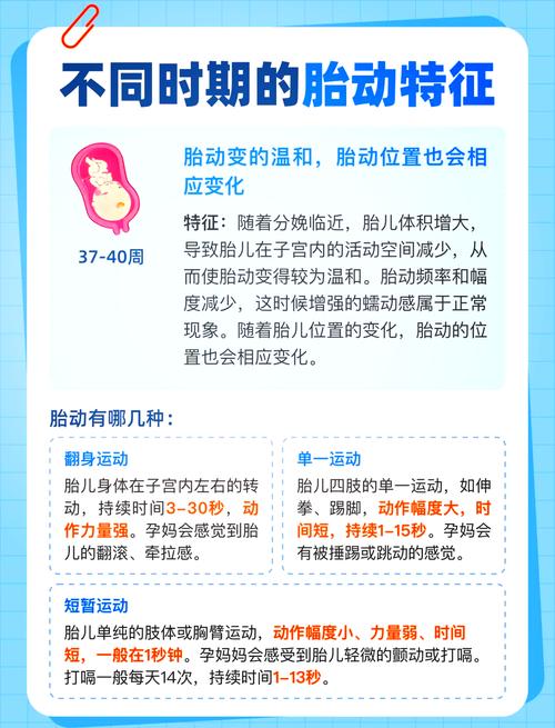 孕期胎动减少是胎儿缺氧还是其他健康问题？-第2张图片-郑州医学网