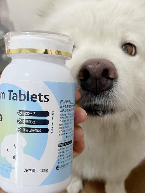 狗狗孕期补钙吃什么好-第2张图片-郑州医学网