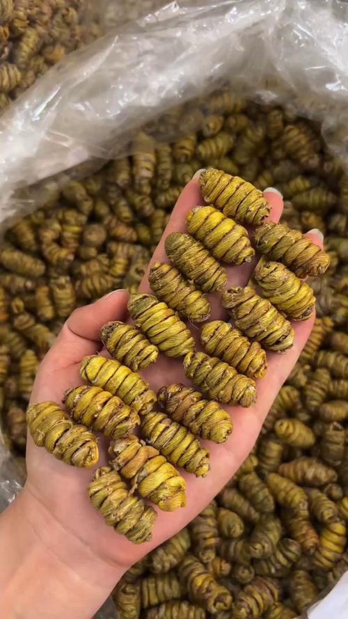 铁皮枫斗儿童能吃吗?有哪些注意事项与适宜剂量?-第2张图片-郑州医学网 铁皮枫斗儿童能吃吗?有哪些注意事项与适宜剂量?-第2张图片-郑州医学网