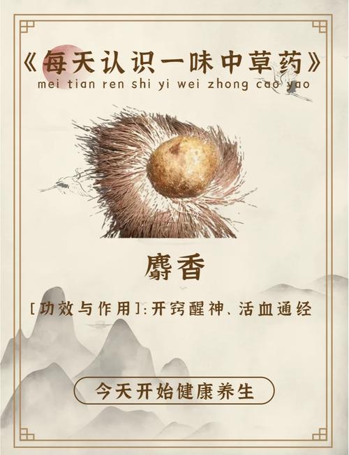 孕期闻麝香真的会导致流产吗？具体危害和科学依据是什么？-第3张图片-郑州医学网