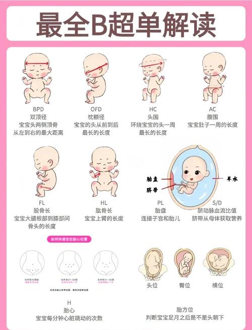 孕期孩子偏大是男孩吗-第2张图片-郑州医学网 孕期孩子偏大是男孩吗-第2张图片-郑州医学网