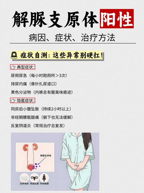 儿童支原体阳性真的能自愈吗？家长该如何判断是否需要就医？-第3张图片-郑州医学网