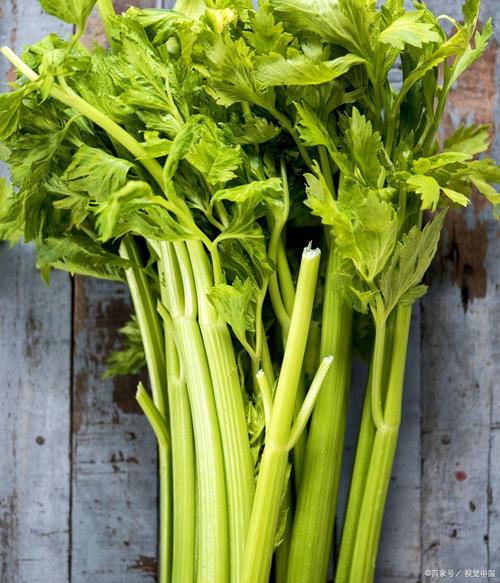 女人备孕期能吃芹菜吗-第1张图片-郑州医学网