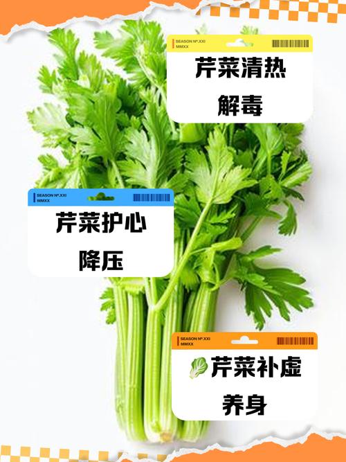 女人备孕期能吃芹菜吗-第3张图片-郑州医学网