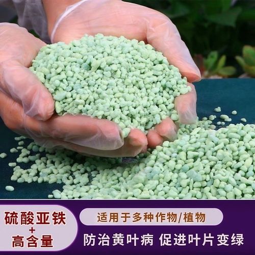 硫酸亚铁颗粒儿童用量多少才安全？不同年龄体重如何调整？-第2张图片-郑州医学网