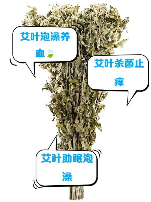 孕期用艾叶水洗澡真的安全吗？会对胎儿有不良影响吗？-第1张图片-郑州医学网