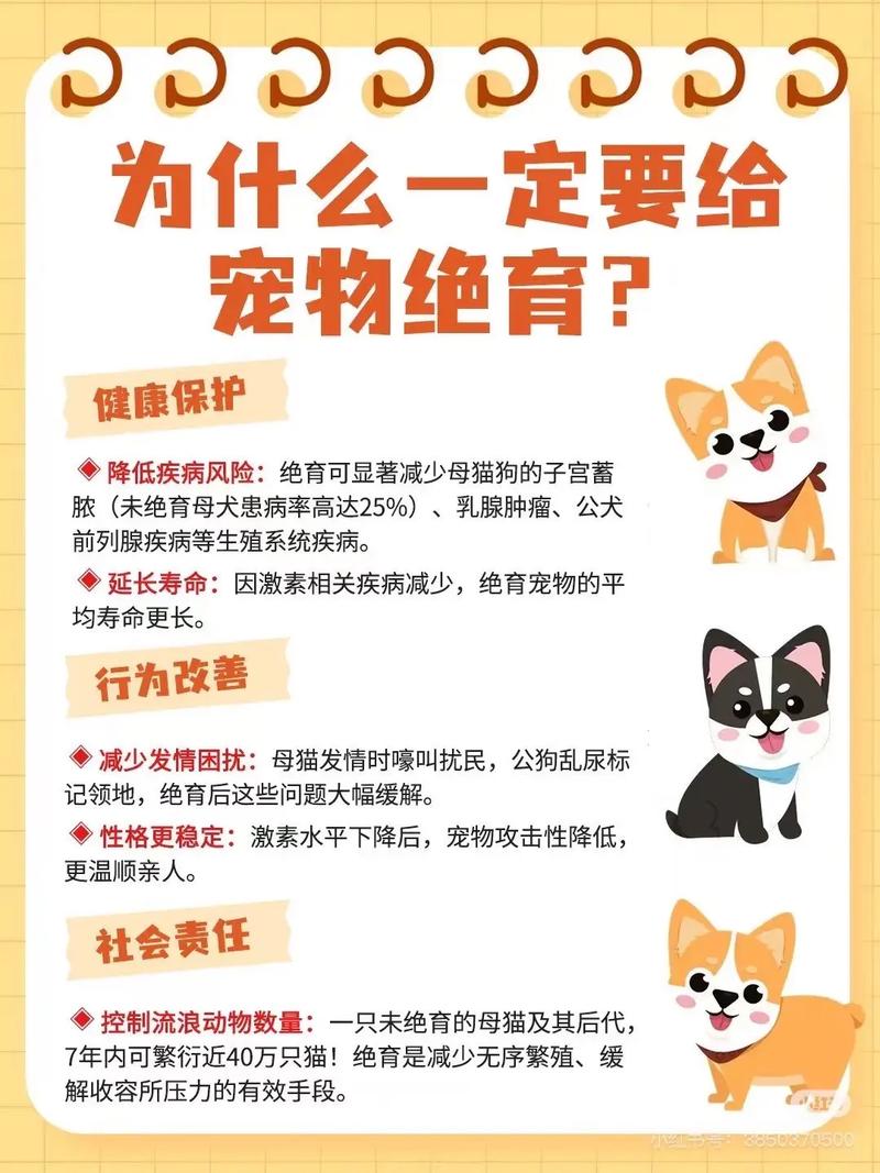 新生儿接触猫狗会引发过敏或感染风险吗?如何科学防护确保安全?-第1张图片-郑州医学网 新生儿接触猫狗会引发过敏或感染风险吗?如何科学防护确保安全?-第1张图片-郑州医学网