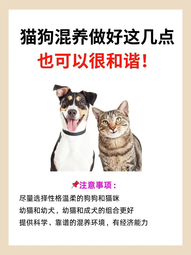 新生儿接触猫狗会引发过敏或感染风险吗？如何科学防护确保安全？-第3张图片-郑州医学网