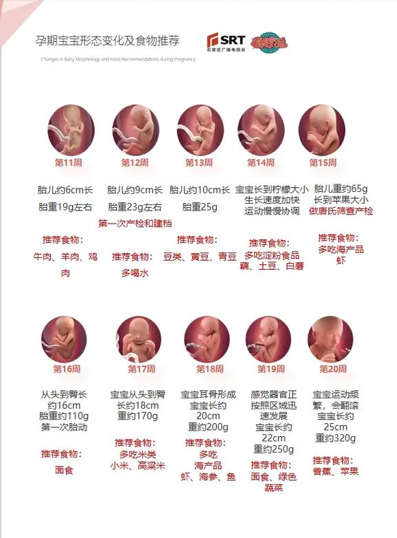 孕期吃得少体重却增长快，是身体异常还是孕期特殊反应？-第3张图片-郑州医学网