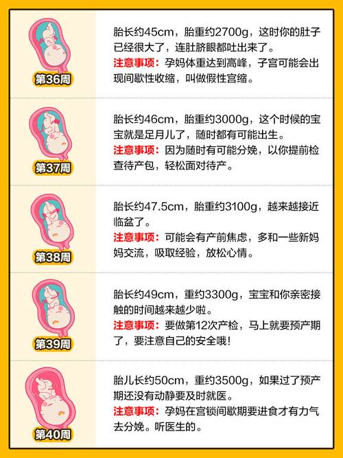 孕期B超报告单上的字母代码究竟是什么含义？新手爸妈该如何快速读懂这些数据？-第2张图片-郑州医学网