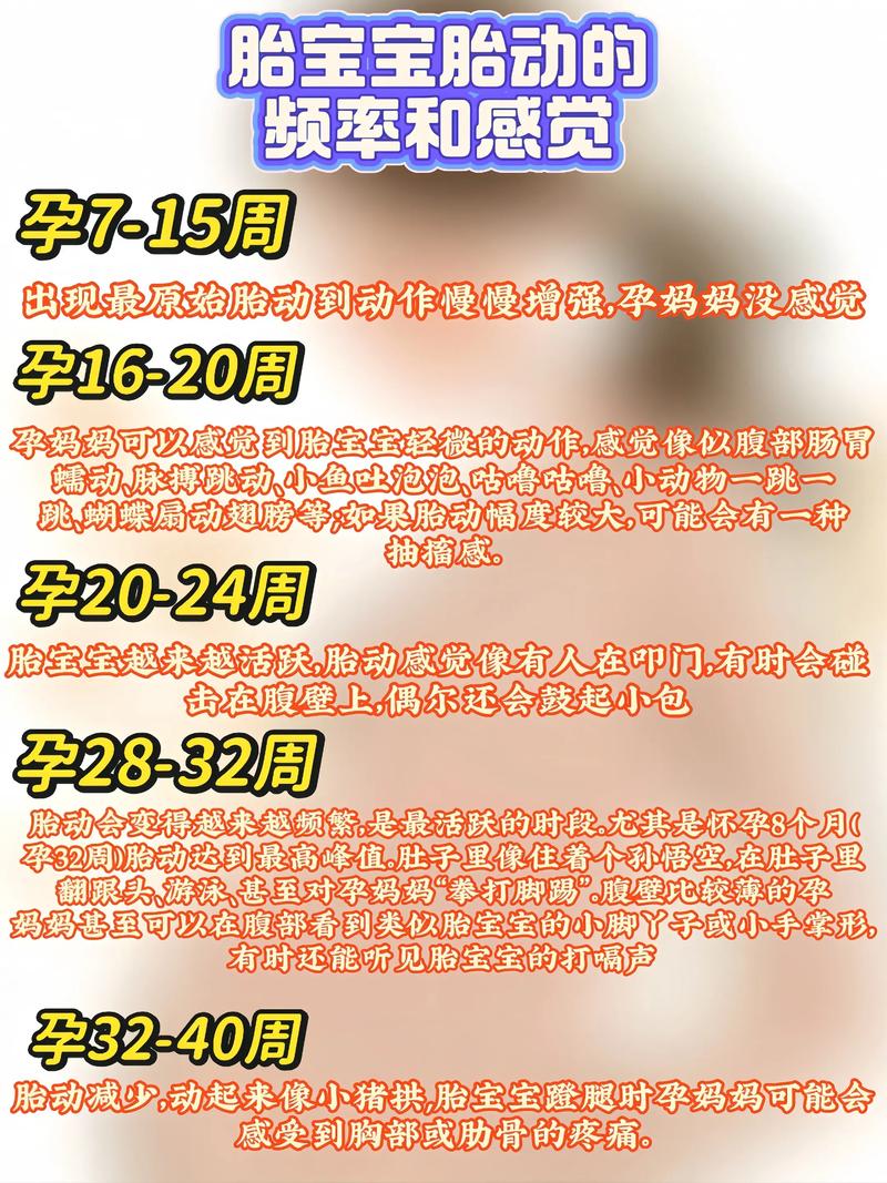 孕期胎动幅度不大，是宝宝发育迟缓还是个体差异？需要警惕哪些异常信号？-第2张图片-郑州医学网