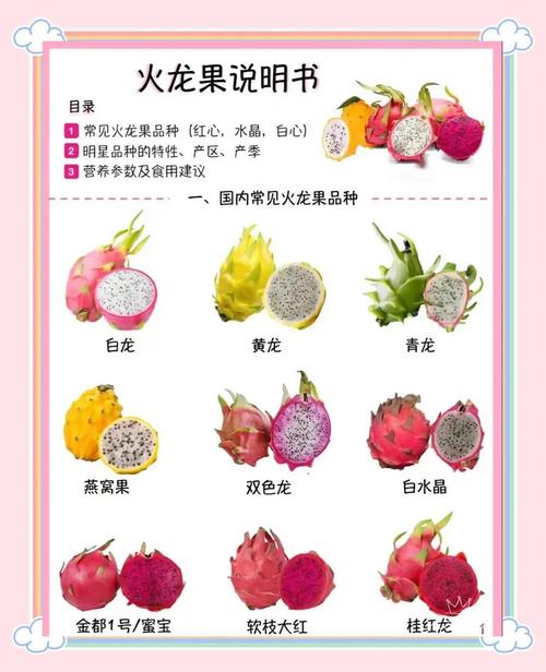 备孕期间吃火龙果有什么好处？会不会影响受孕呢？-第1张图片-郑州医学网