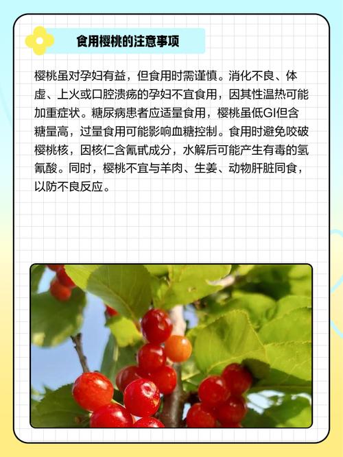 怀孕期间吃樱桃的好处-第2张图片-郑州医学网