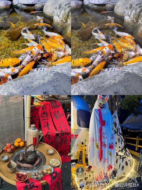 义乌儿童乐园门票价格具体是多少？不同年龄段收费标准有何差异？-第2张图片-郑州医学网