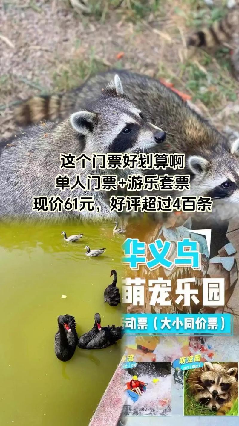 义乌儿童乐园门票价格具体是多少？不同年龄段收费标准有何差异？-第3张图片-郑州医学网