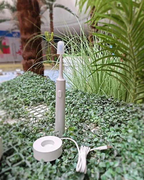 备孕期间使用美牙仪是否安全？对胎儿发育会有潜在影响吗？-第2张图片-郑州医学网