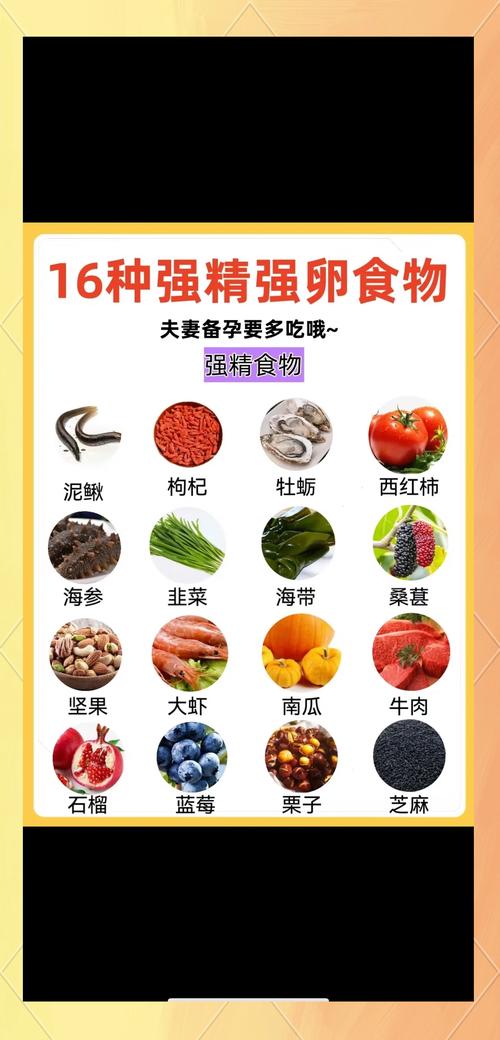 备孕期间吃什么食物能科学提升受孕几率?-第1张图片-郑州医学网 备孕期间吃什么食物能科学提升受孕几率?-第1张图片-郑州医学网