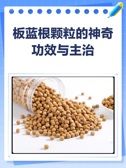 怀孕期间吃板蓝根对胎儿有影响吗？孕期用药安全如何把控？-第3张图片-郑州医学网