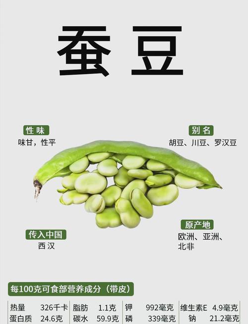 孕期可以吃炒的蚕豆吗-第1张图片-郑州医学网 孕期可以吃炒的蚕豆吗-第1张图片-郑州医学网