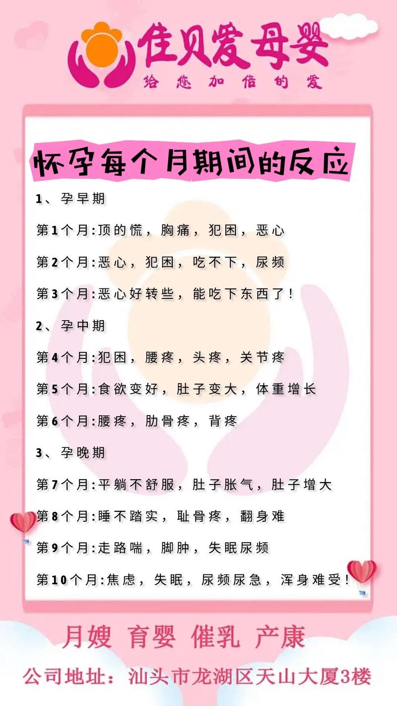 孕期什么时候反应最大？不同孕周的反应变化与应对策略是什么？-第2张图片-郑州医学网