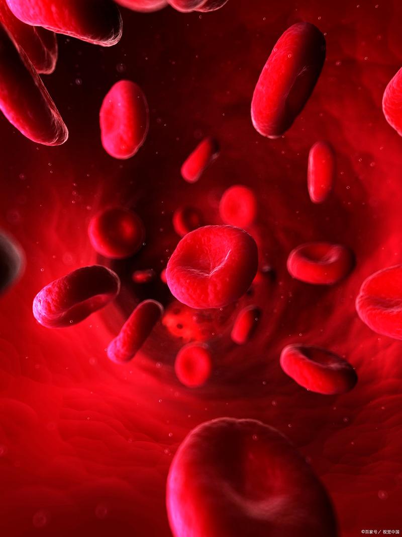 孕期血红蛋白和红细胞的变化对胎儿发育有哪些关键影响？-第2张图片-郑州医学网