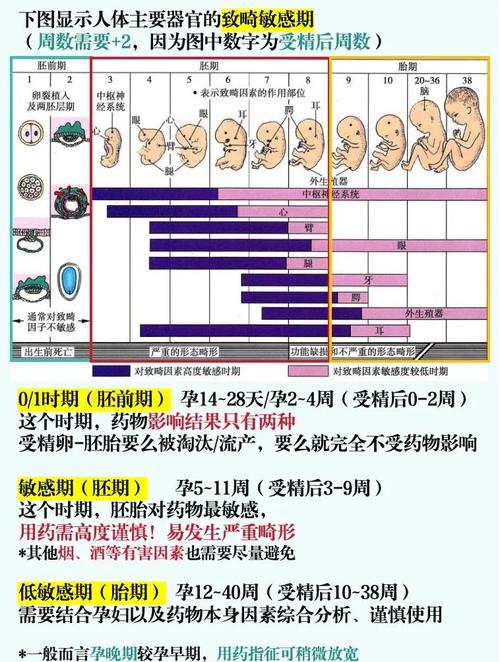 孕期服药到底会对胎儿造成哪些潜在影响？如何科学评估风险与保障健康？-第1张图片-郑州医学网