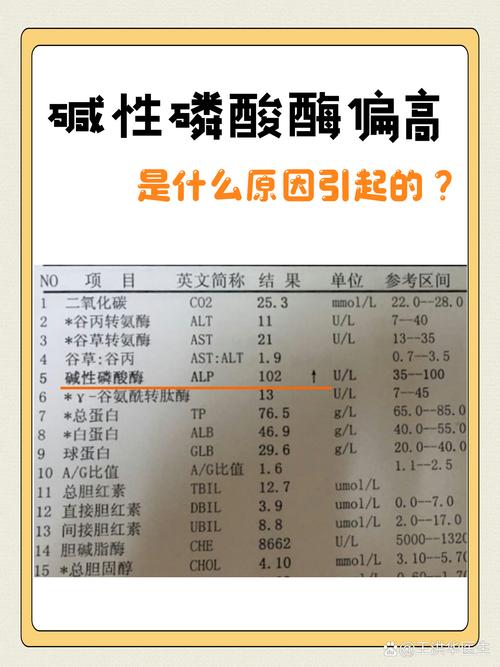 孕期转氨酶偏高是肝脏出问题了吗？背后原因有哪些？-第2张图片-郑州医学网